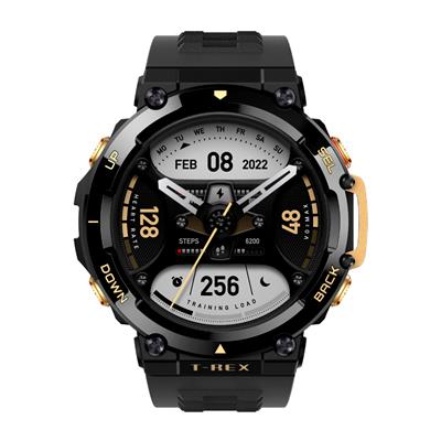 Amazfit T-Rex 2, Astro Black & Gold