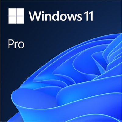 Microsoft® Windows Professional 11 64-bit  All Lng PK Lic Online DwnLd  ESD NR